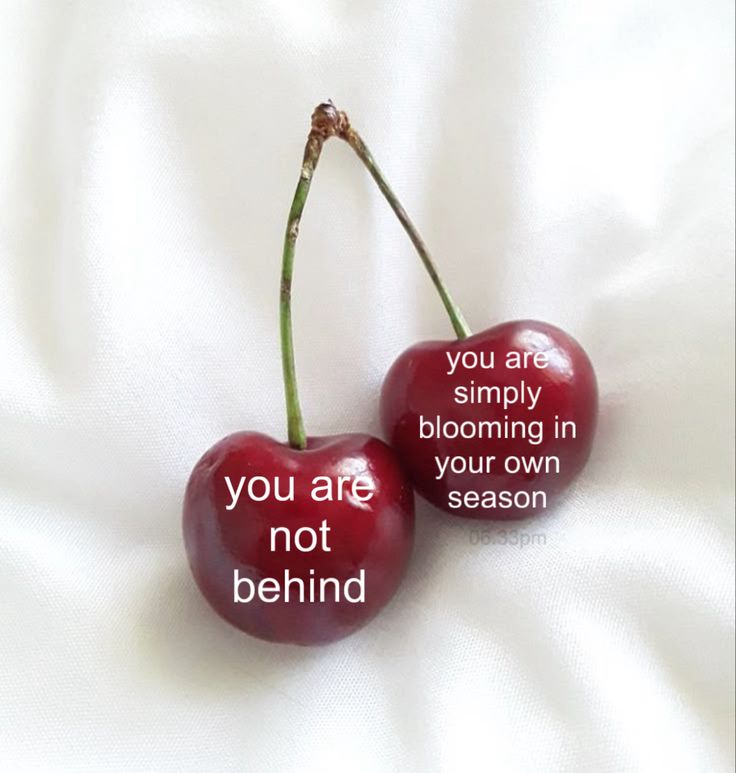 Cherry Image